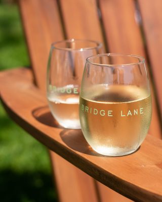 Bridge Lane Stemless Wine Glass
